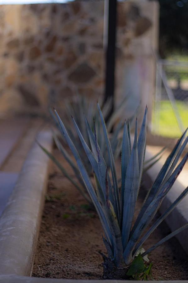 Catrina Valle - Ubicacion 10 Valle de Guadalupe Buitenkant foto